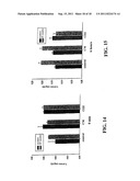 CREATINE ESTER ANTI-INFLAMMATORY COMPOUNDS AND FORMULATIONS diagram and image