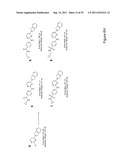 STEM CELL CULTURES diagram and image