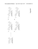 STEM CELL CULTURES diagram and image