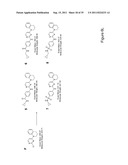 STEM CELL CULTURES diagram and image