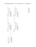 STEM CELL CULTURES diagram and image