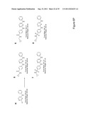 STEM CELL CULTURES diagram and image