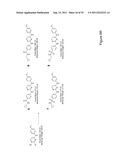 STEM CELL CULTURES diagram and image