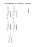 STEM CELL CULTURES diagram and image