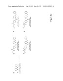 STEM CELL CULTURES diagram and image