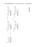 STEM CELL CULTURES diagram and image