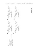 STEM CELL CULTURES diagram and image