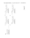 STEM CELL CULTURES diagram and image