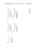 STEM CELL CULTURES diagram and image