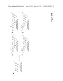 STEM CELL CULTURES diagram and image