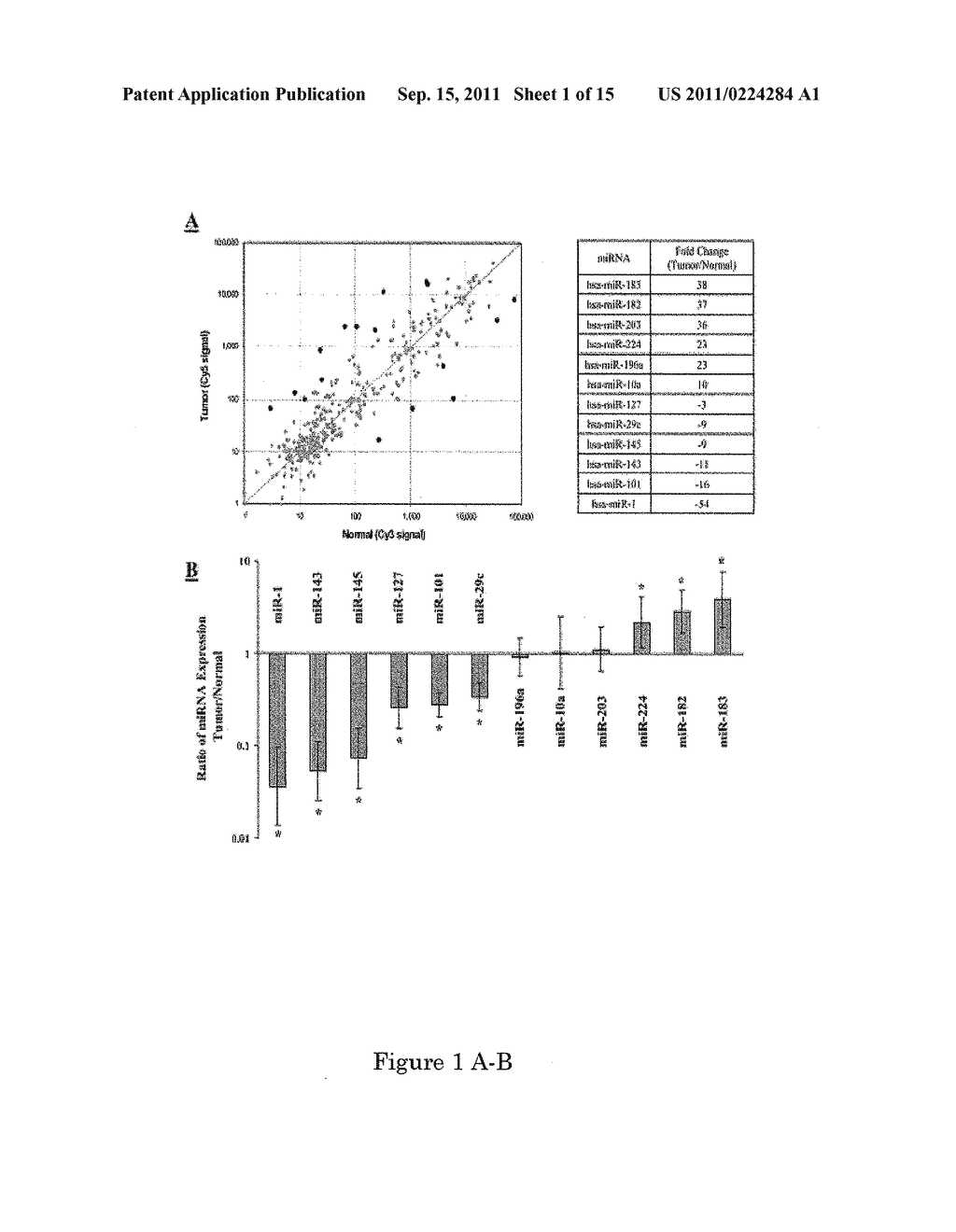 PUTATIVE TUMOR SUPPRESSOR MICRORNA-101 MODULATES THE CANCER EPIGENOME BY     REPRESSING THE POLYCOMB GROUP PROTEIN EZH2 - diagram, schematic, and image 02