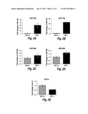 MICRO RNA (MiRNA) AND NEUROFIBROMATOSIS TYPE 1: A ROLE IN DIAGNOSIS AND     THERAPY diagram and image