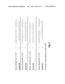 MICRO RNA (MiRNA) AND NEUROFIBROMATOSIS TYPE 1: A ROLE IN DIAGNOSIS AND     THERAPY diagram and image