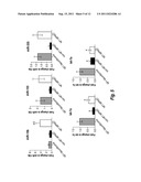 MICRO RNA (MiRNA) AND NEUROFIBROMATOSIS TYPE 1: A ROLE IN DIAGNOSIS AND     THERAPY diagram and image