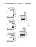 MICRO RNA (MiRNA) AND NEUROFIBROMATOSIS TYPE 1: A ROLE IN DIAGNOSIS AND     THERAPY diagram and image