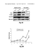 MICRO RNA (MiRNA) AND NEUROFIBROMATOSIS TYPE 1: A ROLE IN DIAGNOSIS AND     THERAPY diagram and image