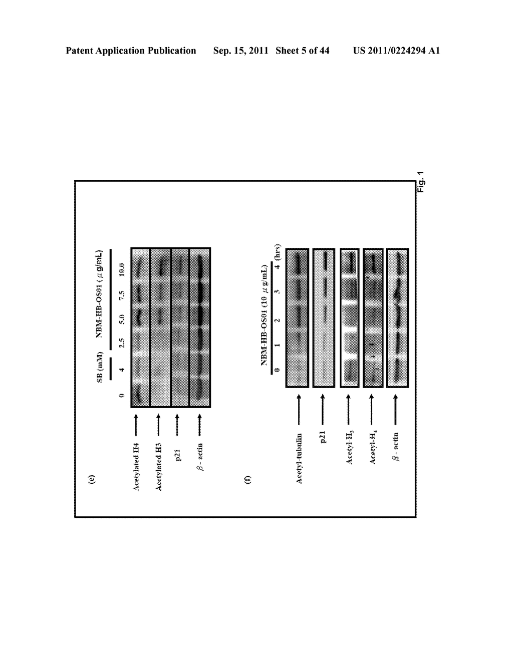 CINAMIC COMPOUNDS AND DERIVATIVES THEREFROM FOR THE INHIBITION OF HISTONE     DEACETYLASE - diagram, schematic, and image 06