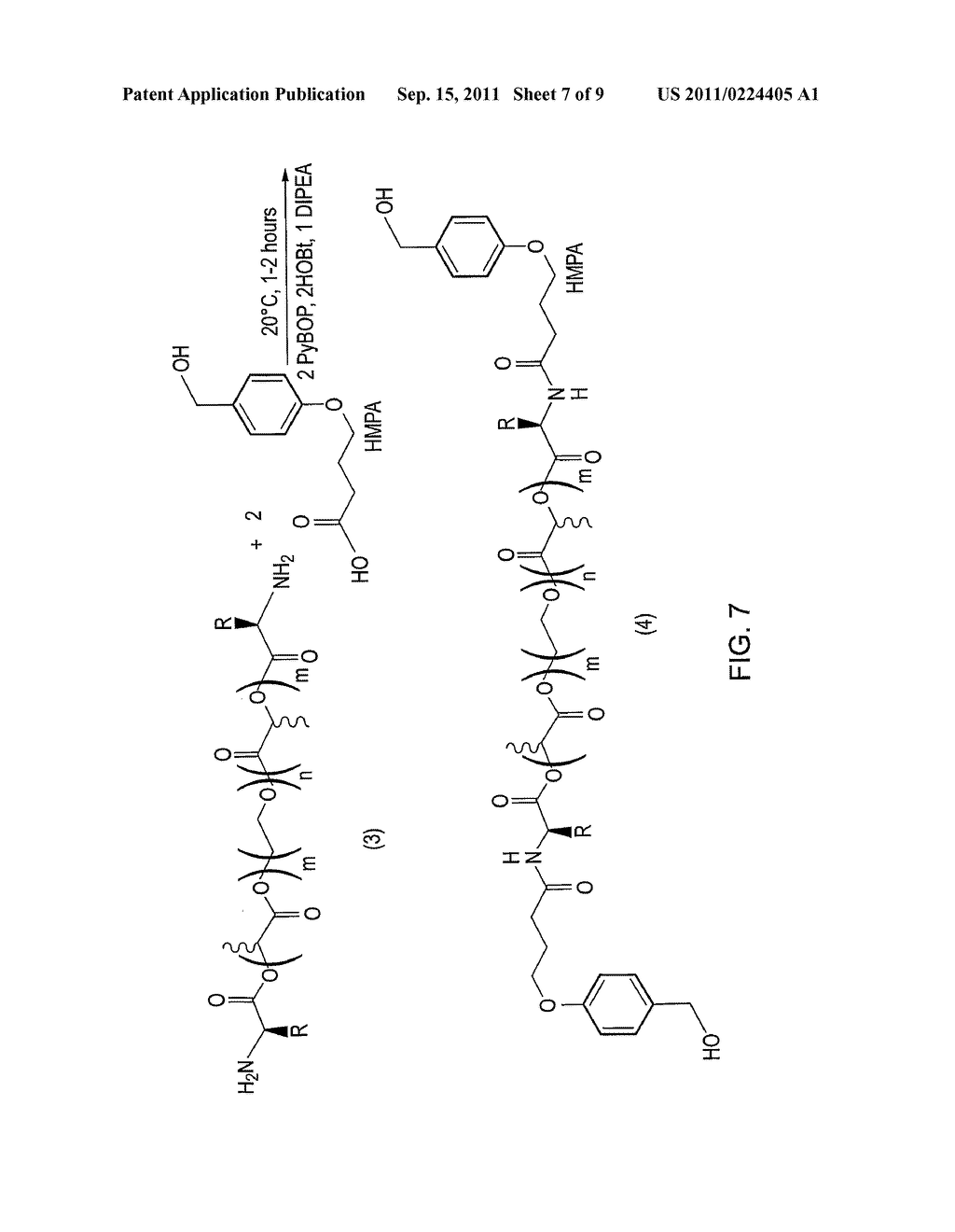 DEGRADABLE SUPPORTS FOR TIDE SYNTHESIS - diagram, schematic, and image 08