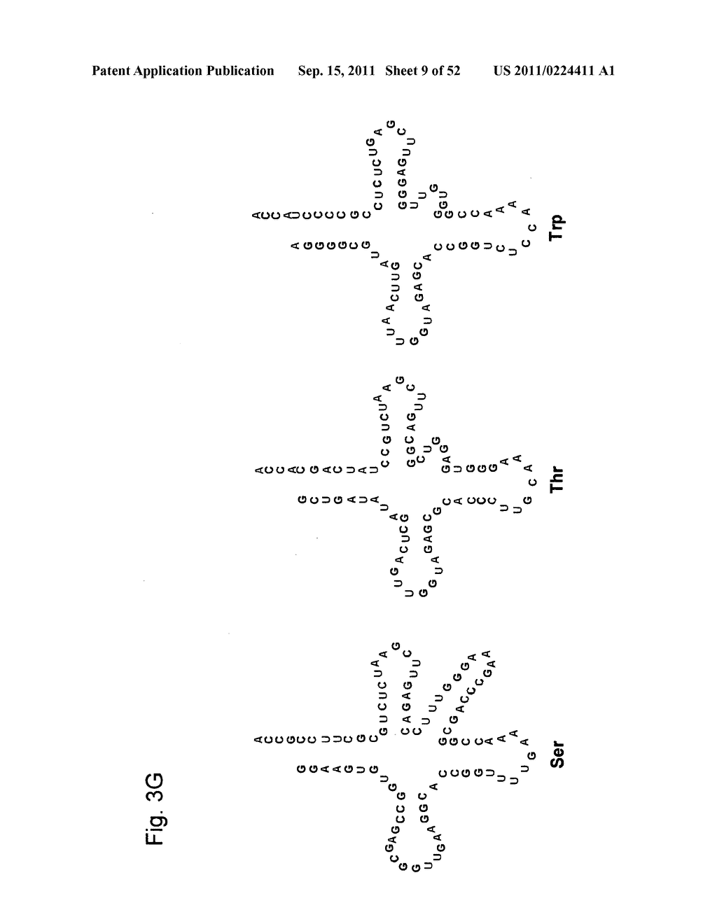 Mutant tRNA for Introducing Unnatural Amino Acid Into Protein - diagram, schematic, and image 10