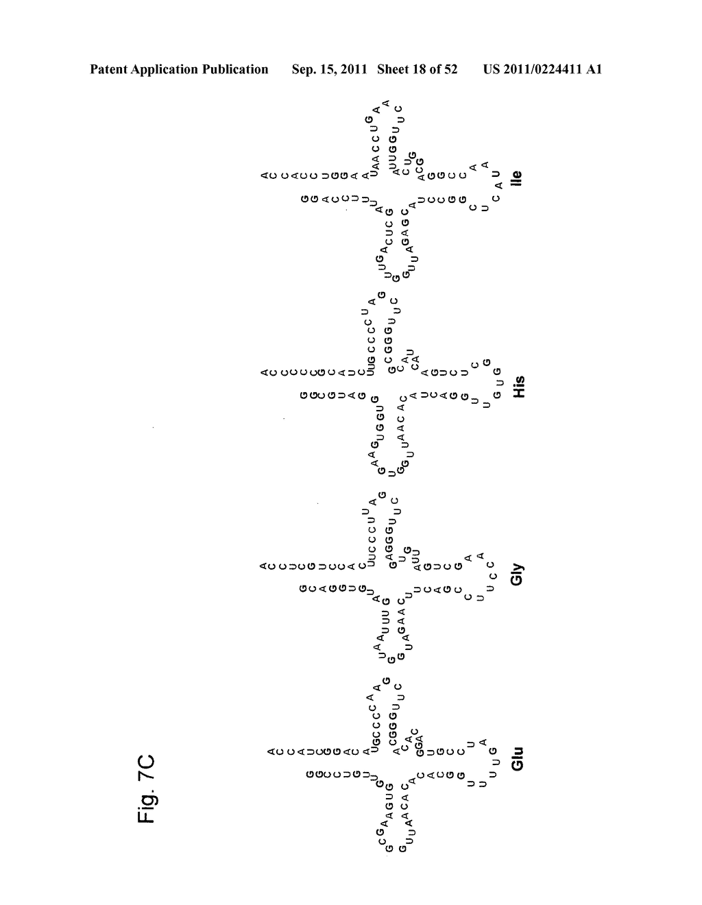 Mutant tRNA for Introducing Unnatural Amino Acid Into Protein - diagram, schematic, and image 19