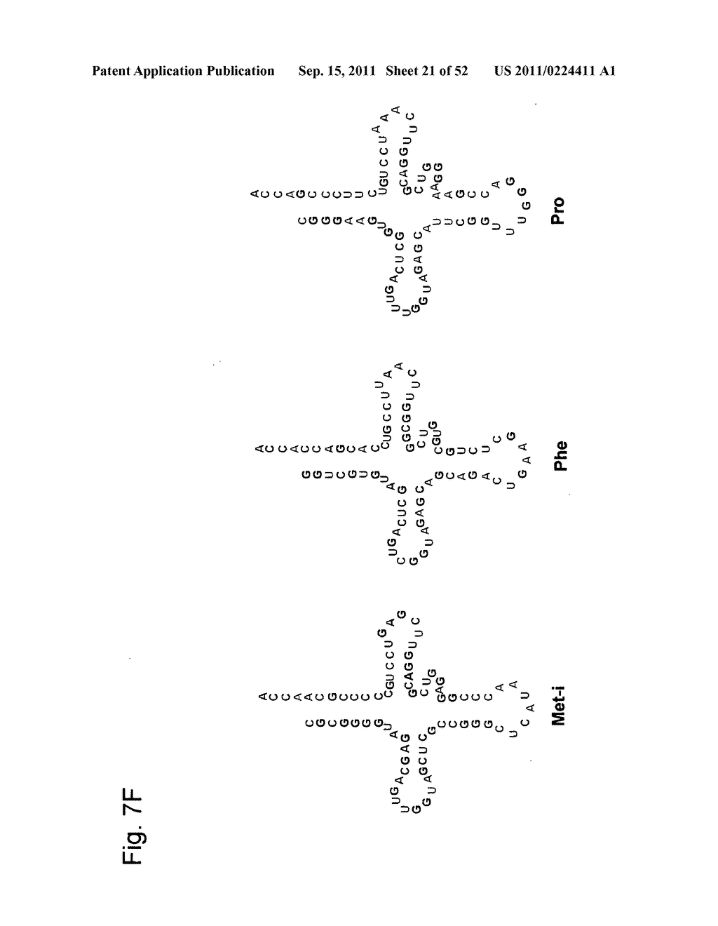 Mutant tRNA for Introducing Unnatural Amino Acid Into Protein - diagram, schematic, and image 22