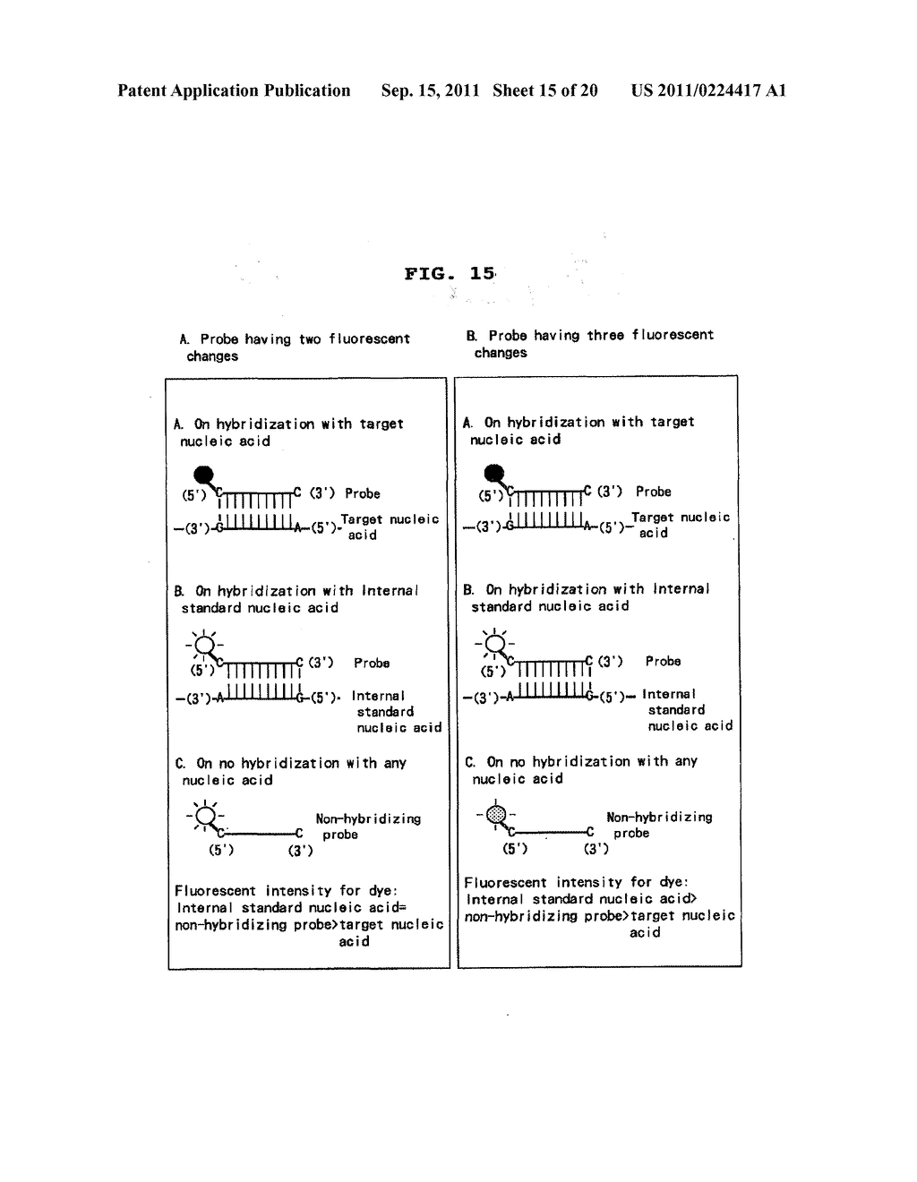 NOVEL MIXTURES FOR ASSAYING NUCLEIC ACID, NOVEL METHOD OF ASSAYING NUCLEIC     ACID WITH THE USE OF THE SAME AND NUCLEIC ACID PROBE TO BE USED THEREFORE - diagram, schematic, and image 16