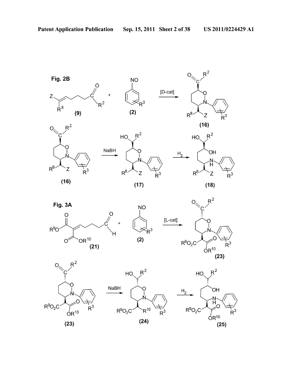 PROCESSES OF ENANTIOSELECTIVELY FORMING AN AMINOXY COMPOUND AND AN     1,2-OXAZINE COMPOUND - diagram, schematic, and image 03