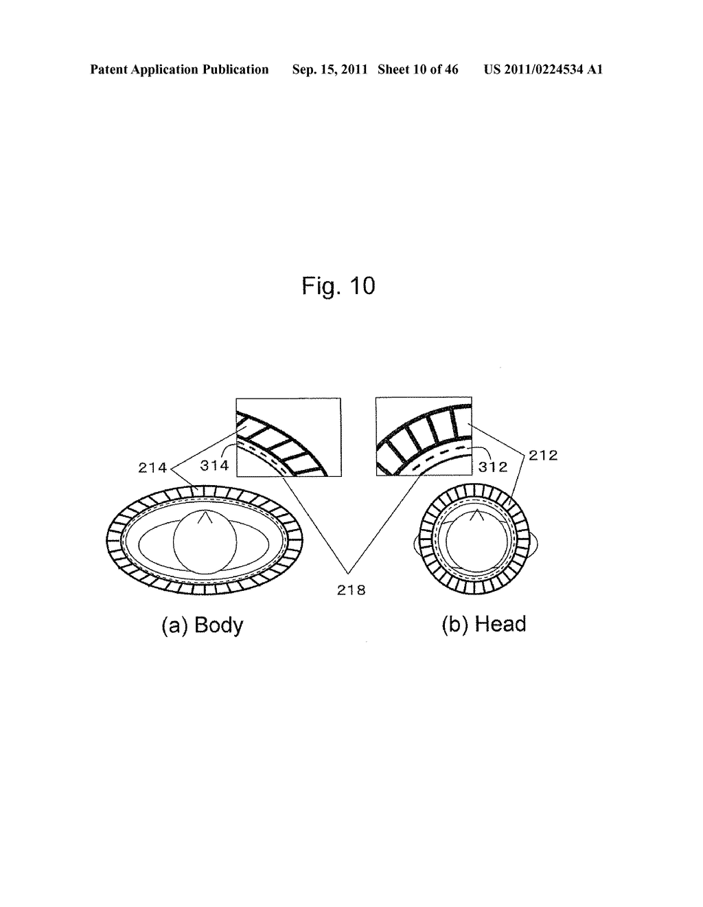 PET/MRI DEVICE, PET DEVICE, AND IMAGE RECONSTRUCTION SYSTEM - diagram, schematic, and image 11