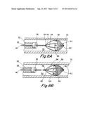 PERCUTANEOUS CATHETER AND GUIDEWIRE HAVING FILTER AND MEDICAL DEVICE     DEPLOYMENT CAPABILITIES diagram and image