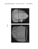 CELL-SCAFFOLD CONSTRUCTS diagram and image