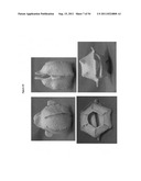 CELL-SCAFFOLD CONSTRUCTS diagram and image