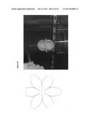 CELL-SCAFFOLD CONSTRUCTS diagram and image