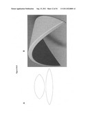 CELL-SCAFFOLD CONSTRUCTS diagram and image