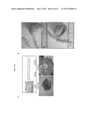 CELL-SCAFFOLD CONSTRUCTS diagram and image