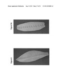 CELL-SCAFFOLD CONSTRUCTS diagram and image