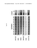 CELL-SCAFFOLD CONSTRUCTS diagram and image