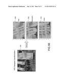 VIDEO SEARCH METHOD, VIDEO SEARCH SYSTEM, AND METHOD THEREOF FOR     ESTABLISHING VIDEO DATABASE diagram and image