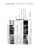 VIDEO SEARCH METHOD, VIDEO SEARCH SYSTEM, AND METHOD THEREOF FOR     ESTABLISHING VIDEO DATABASE diagram and image