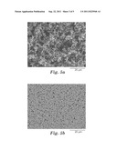 MICROPOROUS MEMBRANE AND METHOD FOR FORMING diagram and image