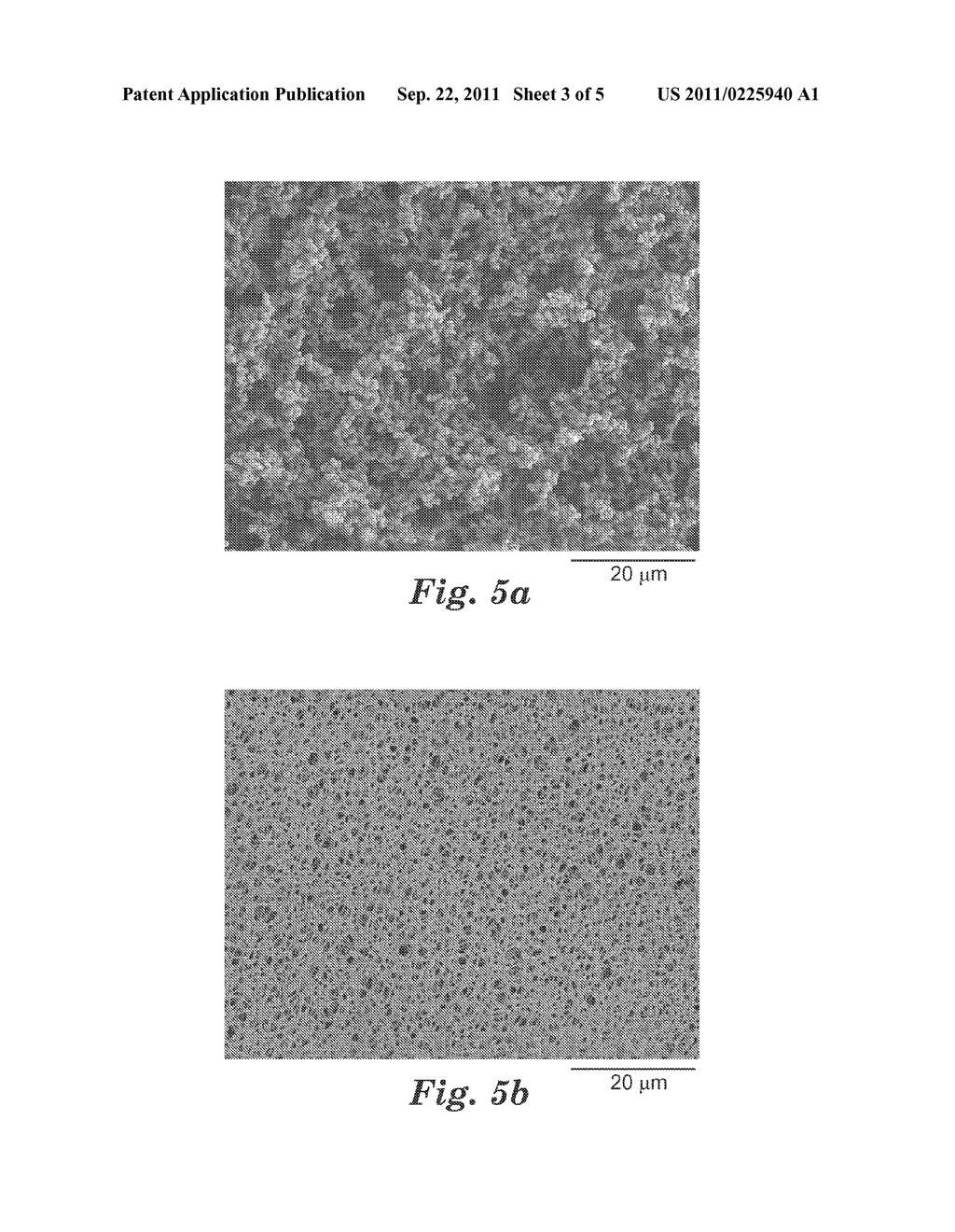 MICROPOROUS MEMBRANE AND METHOD FOR FORMING - diagram, schematic, and image 04