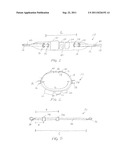 APPARATUS FOR TRAINING OR EXERCISING ONE OR MORE DOGS diagram and image