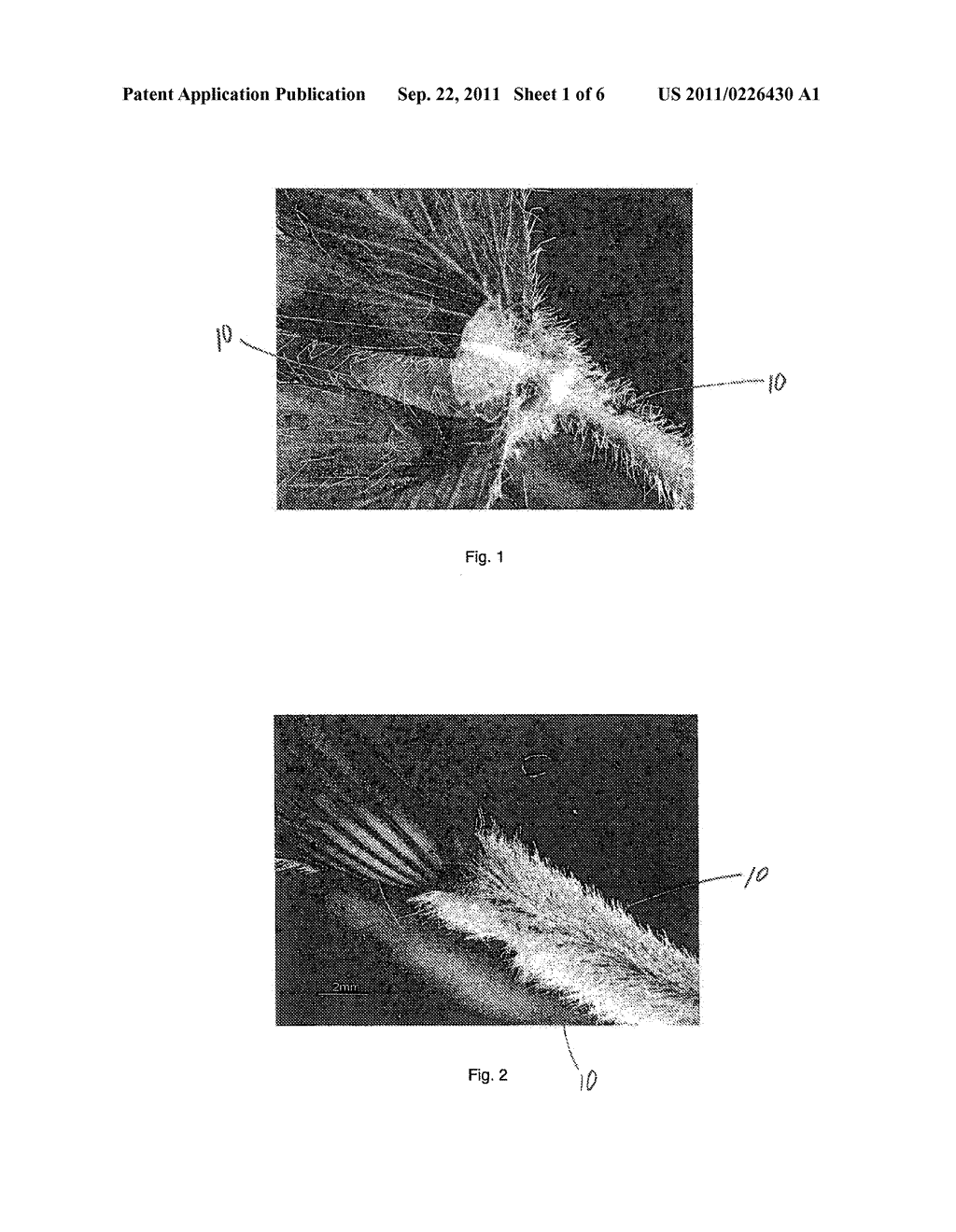 SOFT AND STRONG FIBROUS STRUCTURES AND METHODS FOR MAKING SAME - diagram, schematic, and image 02