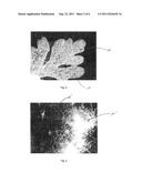 SOFT AND STRONG FIBROUS STRUCTURES AND METHODS FOR MAKING SAME diagram and image