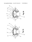 Disk Brake and Brake Pad Arrangement Therefor diagram and image