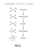 HETEROCYCLE CATALYZED ELECTROCHEMICAL PROCESS diagram and image