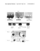 Solubilized Heavy Metal Binding Reagent diagram and image