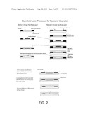 NANOFLUIDIC CHANNELS WITH INTEGRATED CHARGE SENSORS AND METHODS BASED     THEREON diagram and image