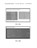 NANOFLUIDIC CHANNELS WITH INTEGRATED CHARGE SENSORS AND METHODS BASED     THEREON diagram and image