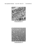 METHODS FOR DETECTING AND IMAGING MAGNETIC METALLOPROTEINS diagram and image