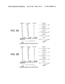 ZOOM OPTICAL SYSTEM, OPTICAL APPARATUS AND METHOD OF MANUFACTURING ZOOM     OPTICAL SYSTEM diagram and image